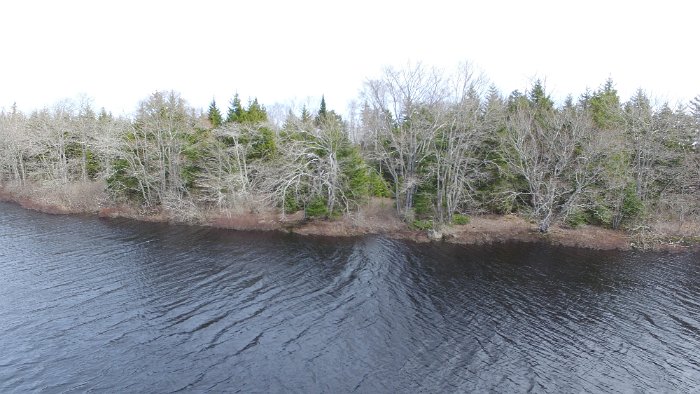 WentworthHalbinsel (88)